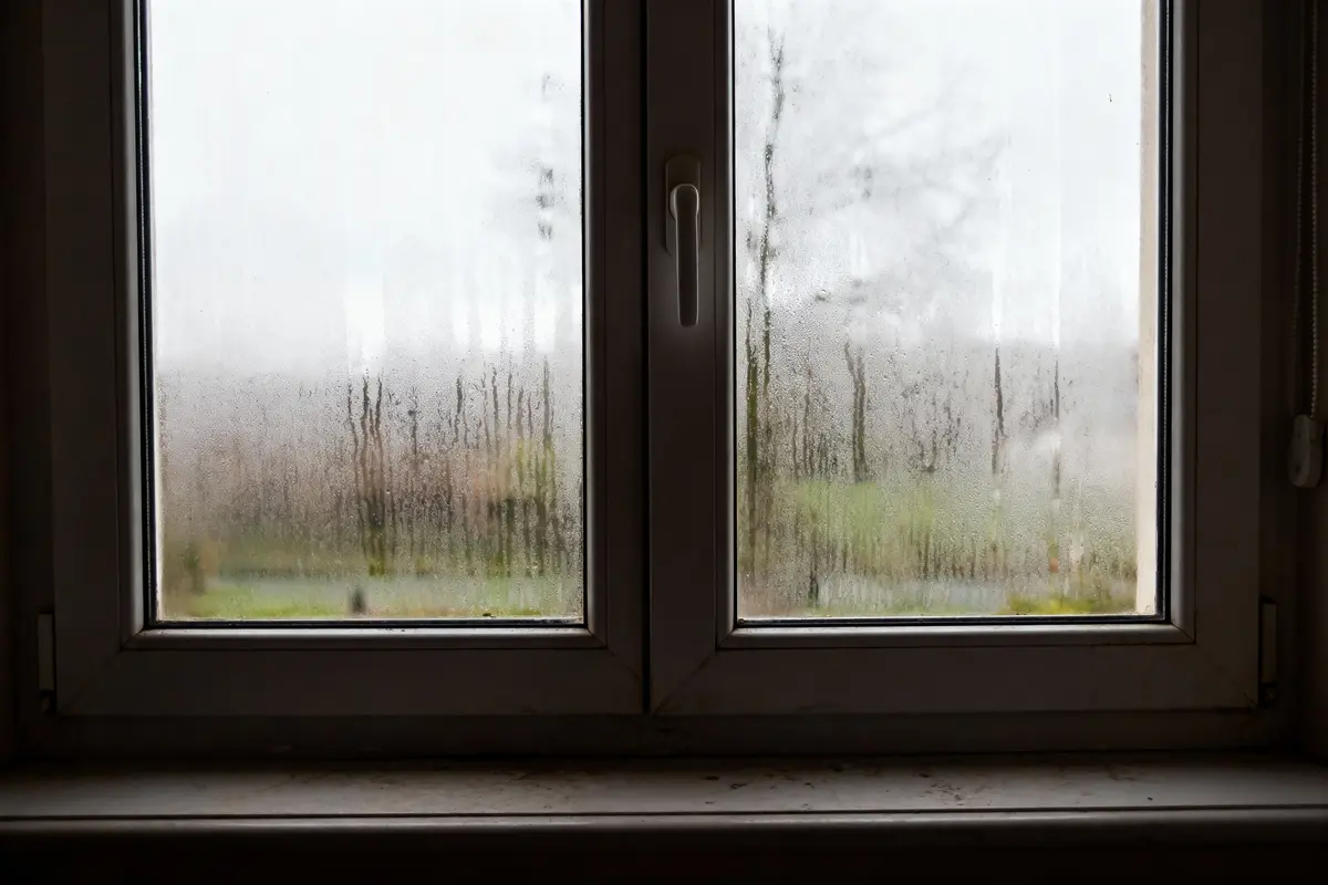 Fenêtre avec buée et vue floue sur un paysage extérieur gris et verdoyant.