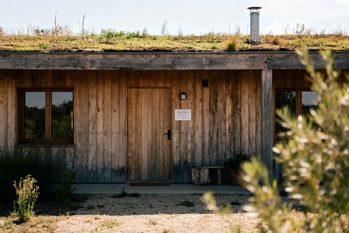 Façade en bois avec toit végétalisé, fenêtres, porte, plantes et banc extérieur. Atmosphère rustique.