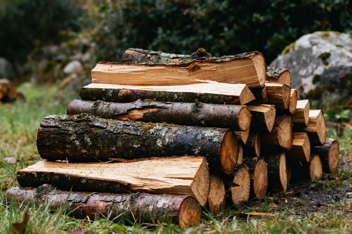 Bois de chauffage à 40 euros le stère : Bonne affaire ou mythe ?