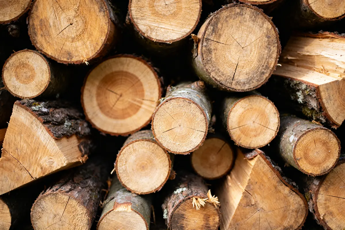 Stère de bois prix 2026 : Quel coût pour chauffage livré ?